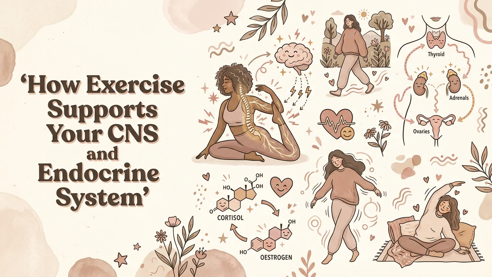Illustrated hormone health banner showing women walking. stretching. dancing. and resting alongside diagrams of the brain. spine. thyroid. adrenals. ovaries. cortisol. and oestrogen to explain how movement supports the central nervous and endocrine systems. Text reads How Exercise Supports Your CNS and Endocrine System. Thyroid. Adrenals. Ovaries. Cortisol. Oestrogen.