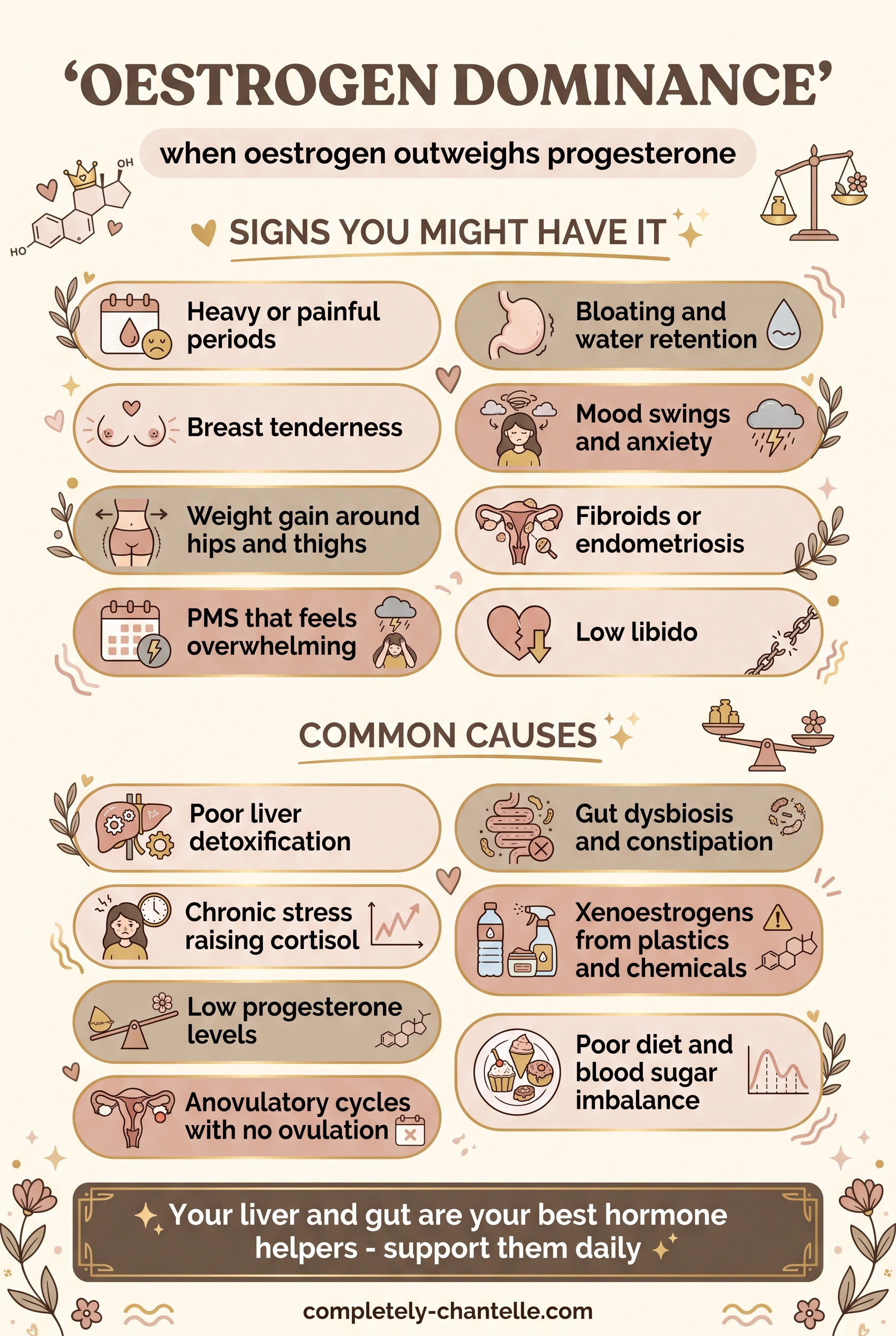 Oestrogen dominance symptoms and causes - including heavy periods, bloating, breast tenderness, mood swings, fibroids, poor liver detoxification and xenoestrogens